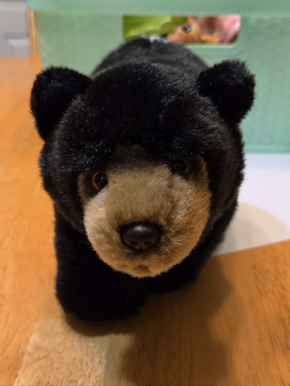 Ganz Webkinz Signature Black Bear